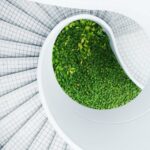 cropped-plant-white-leaf-spiral-staircase-spiral-staircase-123911-pxhere-com-1-1.jpg