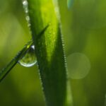 A shallow focus closeup shot of a droplet of dew on the grass with bokeh background